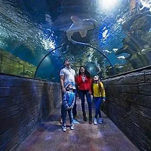 3cities Maison Close To Valletta Vakantiehuis *